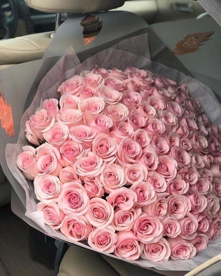 Velvet Rhapsody: Luxurious Petal Symphony
